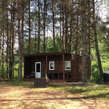 Forest Cabin Ozolaine Экстерьер фото